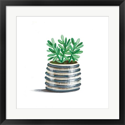Framed Striped Succulent Print
