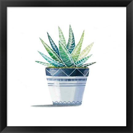 Framed Aloe Plant Print