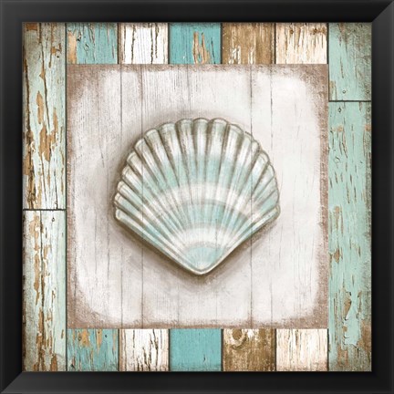 Framed Shell Print