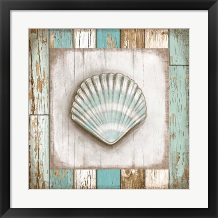 Framed Shell Print