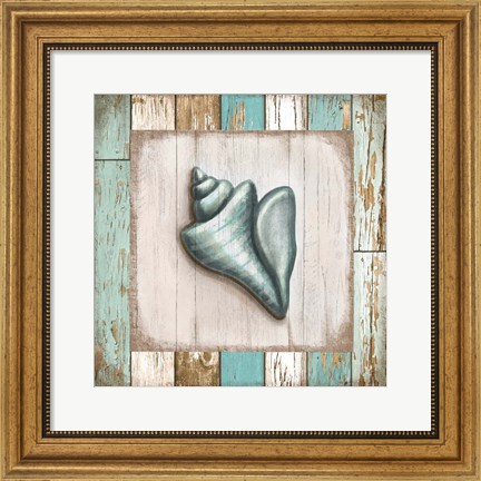Framed Turquoise Seashell Print