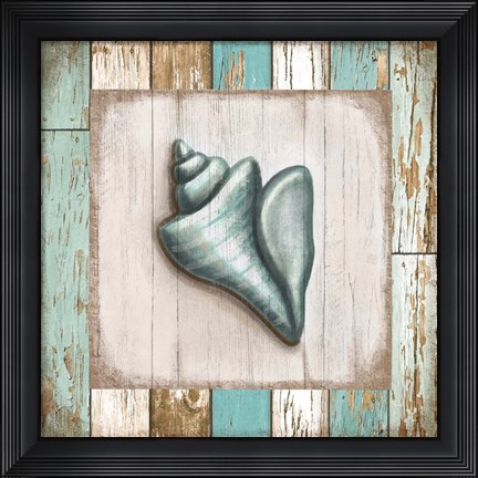 Framed Turquoise Seashell Print