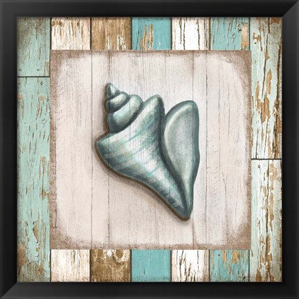 Framed Turquoise Seashell Print