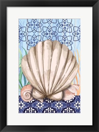 Framed Shell Print