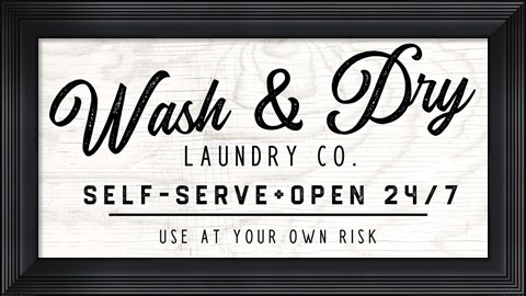 Framed Wash and Dry II Print