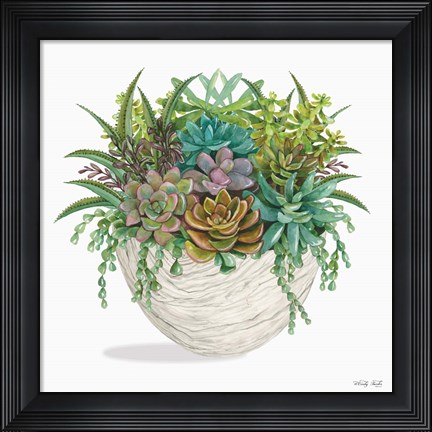 Framed Succulent on White II Print