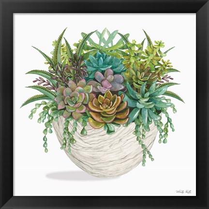 Framed Succulent on White II Print