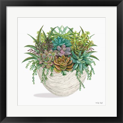 Framed Succulent on White II Print
