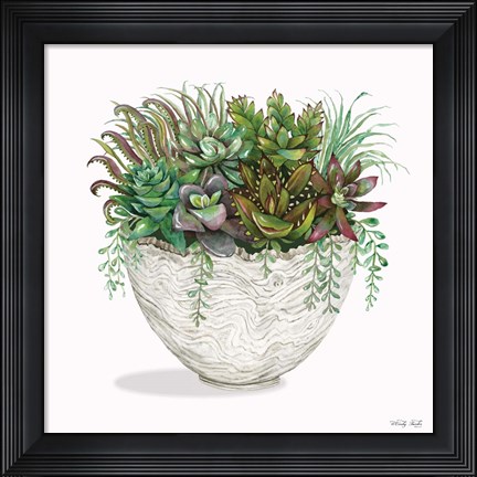 Framed Succulent on White III Print