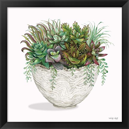 Framed Succulent on White III Print