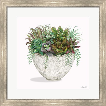 Framed Succulent on White III Print