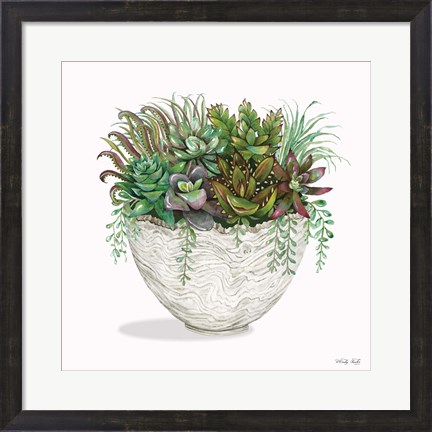 Framed Succulent on White III Print