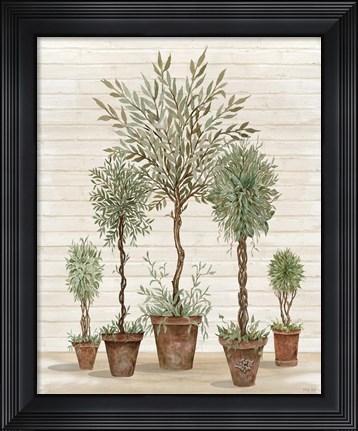 Framed Potted Tree Collection Print