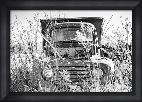 Framed Truck in Wildflower Field Print