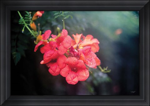 Framed Summer Rain Print