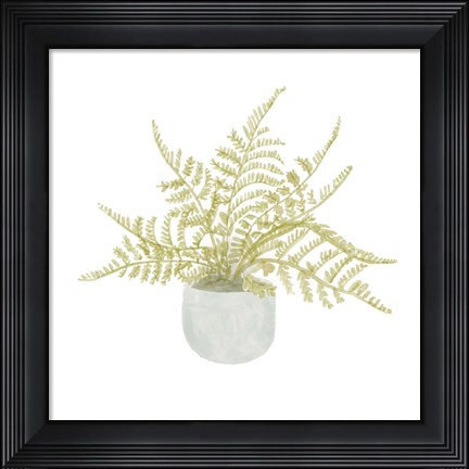 Framed Potted Fern I Print