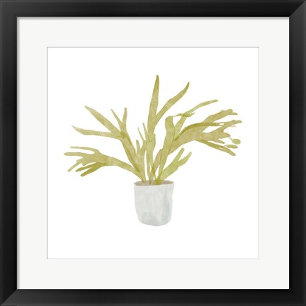 Framed Potted Fern II Print