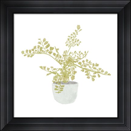 Framed Potted Fern III Print
