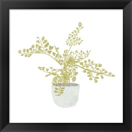 Framed Potted Fern III Print