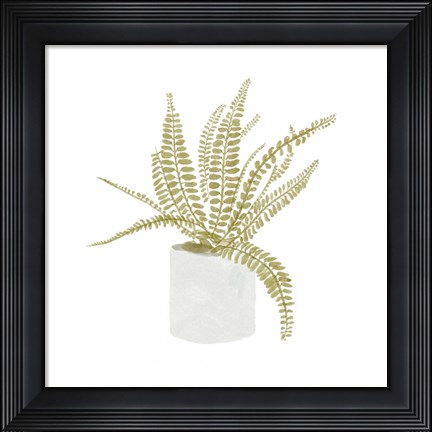 Framed Potted Fern V Print