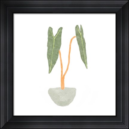 Framed Philodendron Billietiae I Print