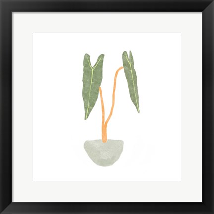 Framed Philodendron Billietiae I Print