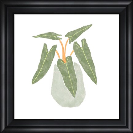 Framed Philodendron Billietiae II Print