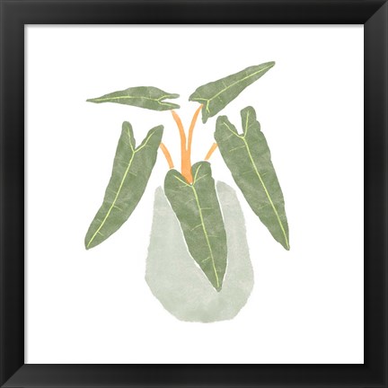 Framed Philodendron Billietiae II Print