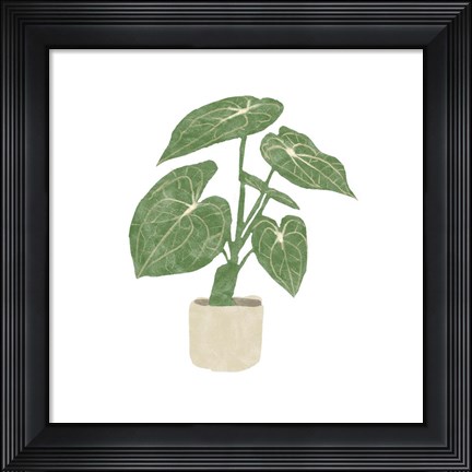 Framed Philodendron Gloriosum II Print