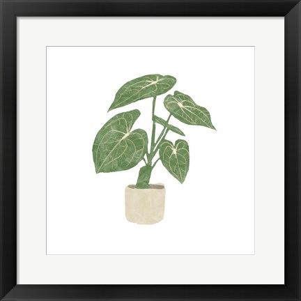 Framed Philodendron Gloriosum II Print