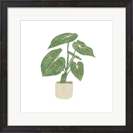 Framed Philodendron Gloriosum II Print