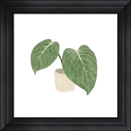 Framed Philodendron Gloriosum III Print