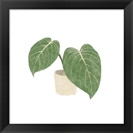 Framed Philodendron Gloriosum III Print