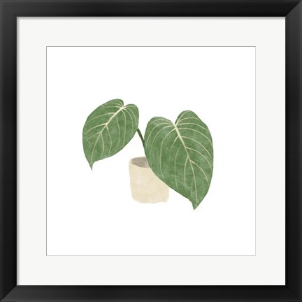 Framed Philodendron Gloriosum III Print