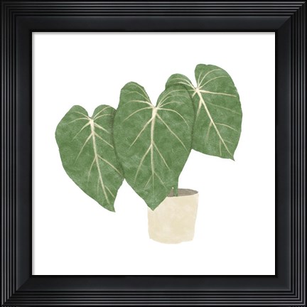 Framed Philodendron Gloriosum IV Print