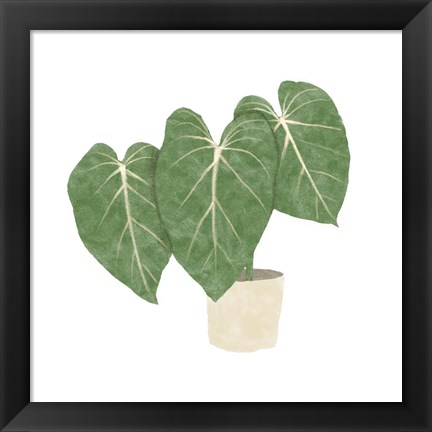 Framed Philodendron Gloriosum IV Print