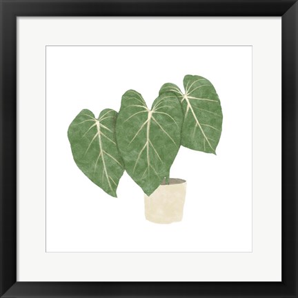 Framed Philodendron Gloriosum IV Print