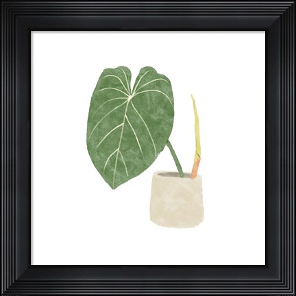 Framed Philodendron Gloriosum V Print