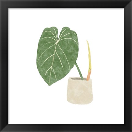 Framed Philodendron Gloriosum V Print