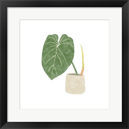 Framed Philodendron Gloriosum V Print