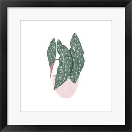 Framed Polka Dot Begonia II Print