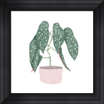 Framed Polka Dot Begonia III Print