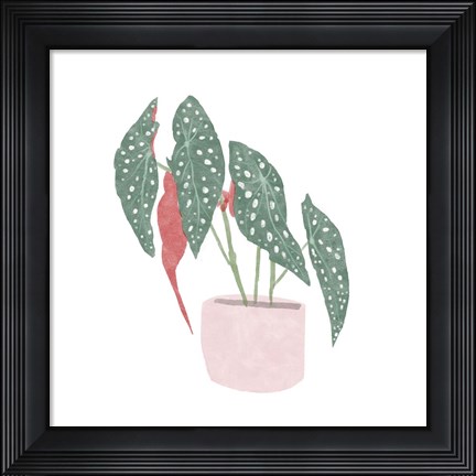Framed Polka Dot Begonia IV Print