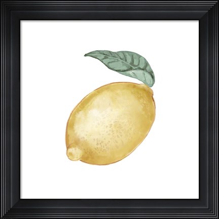 Framed Citrus Limon I Print