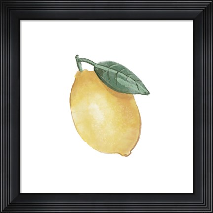 Framed Citrus Limon II Print