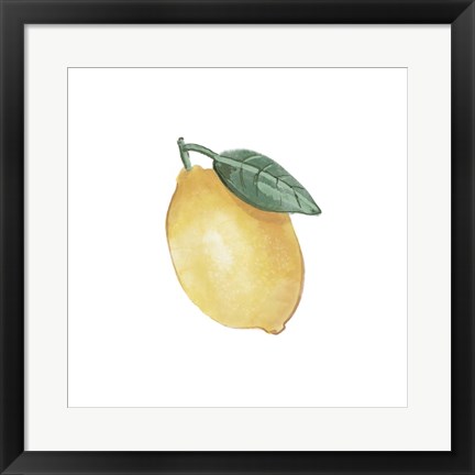 Framed Citrus Limon II Print