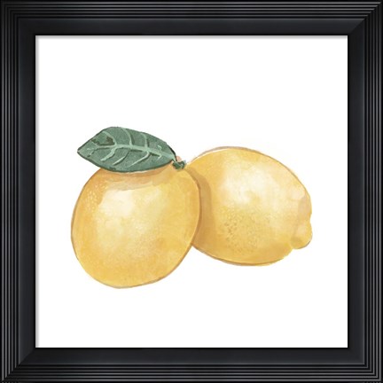 Framed Citrus Limon III Print