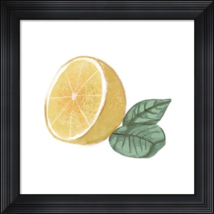 Framed Citrus Limon IV Print