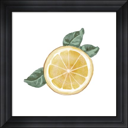 Framed Citrus Limon V Print