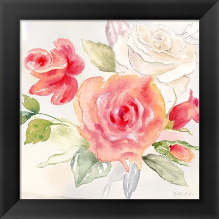 Framed Garden Roses II Print